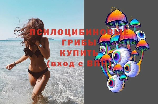 трава Коряжма