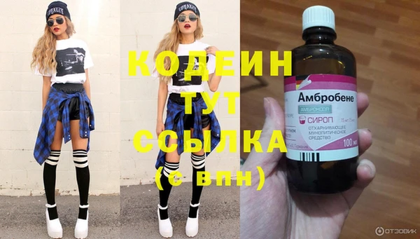 трава Коряжма