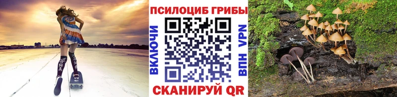 Галлюциногенные грибы GOLDEN TEACHER  Невельск 